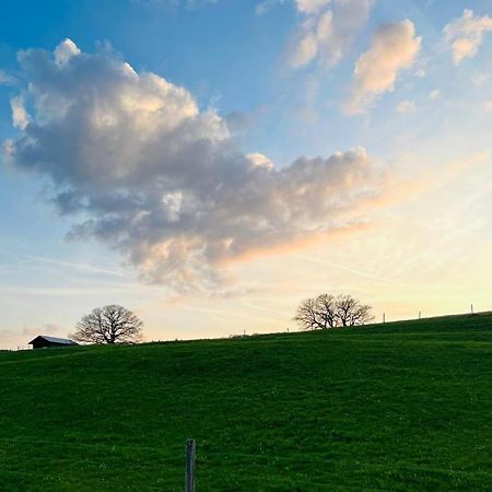 Chalet Buron カウフボイレン エクステリア 写真